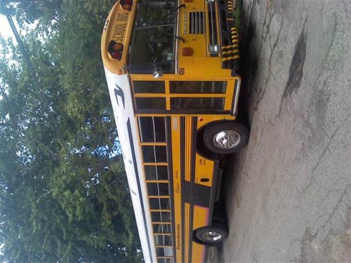 1992 bluebird school bus