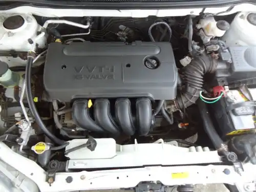 2008 Toyota Corolla LE