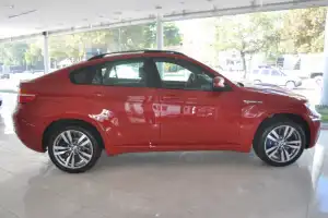 2013 BMW X6
