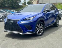 2021 LEXUS NX300 F-SPORT