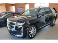 2024 CADILLAC ESCALADE PLATINUM 62LV8