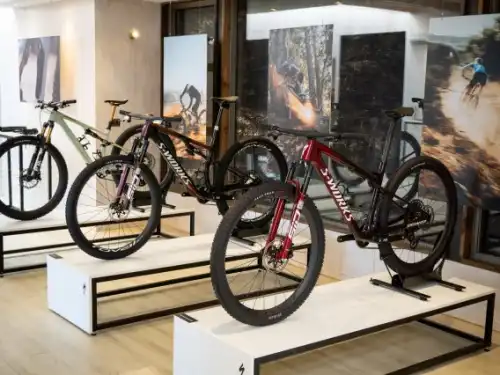  2025 Specialized Turbo Levo SL 2 Comp Alloy 