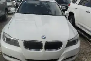 BMW Serie 3 316 2011