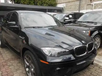 BMW X6 2010