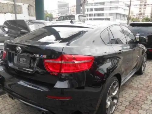 BMW X6 2010