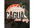 CAGUAS AUTO CITY 