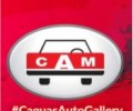 CAGUAS AUTO MALL