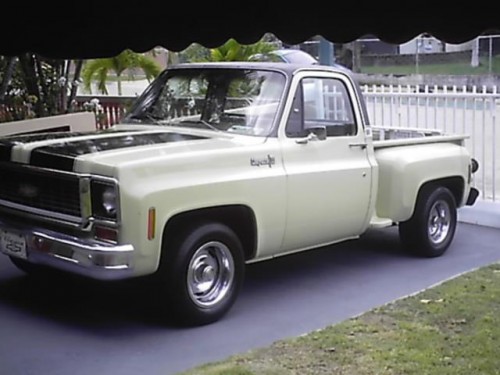 CHEVROLET CHEYENNE C-10 PICK UP DEL 1973