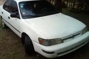 Corolla nitido 1993 