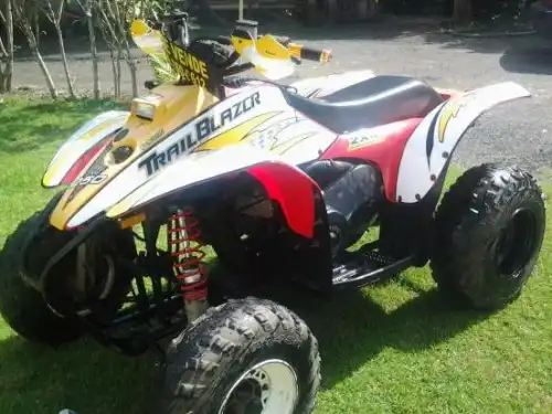 Cuatrimoto 2x4 2001 