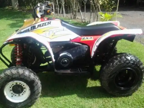 Cuatrimoto 2x4 2001 