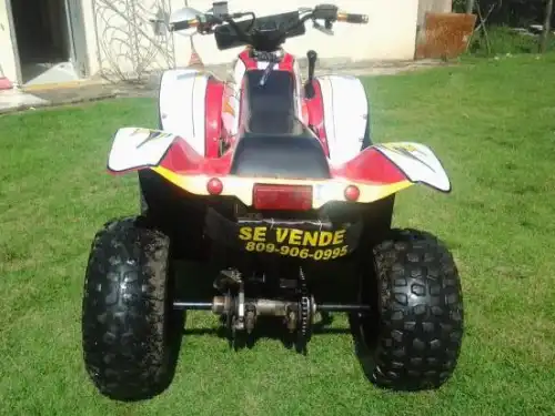 Cuatrimoto 2x4 2001 