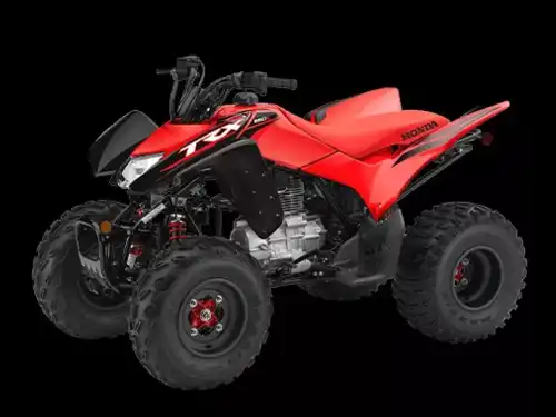 FOUR WHEEL TRX250X