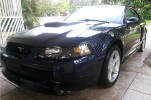 Ford Mustang gt 2001