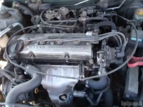 Gozando, Gozando,gozando Economia Ultima Oportunidad