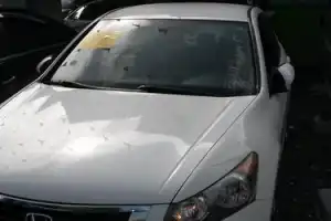 Honda Accord  2010