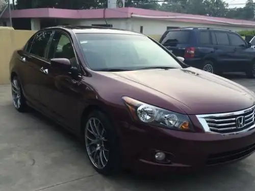 Honda Accord  2010