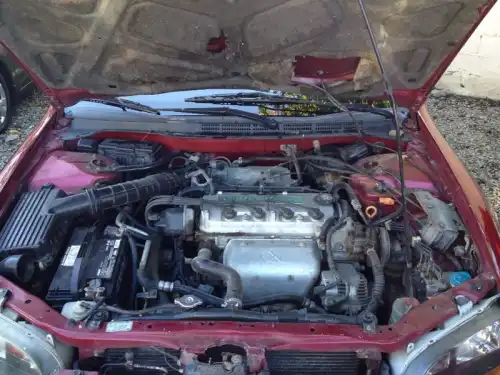 Honda Accord 1998 Rojo