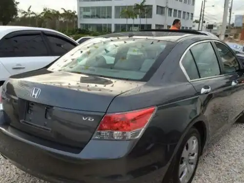 Honda Accord EXL 2010