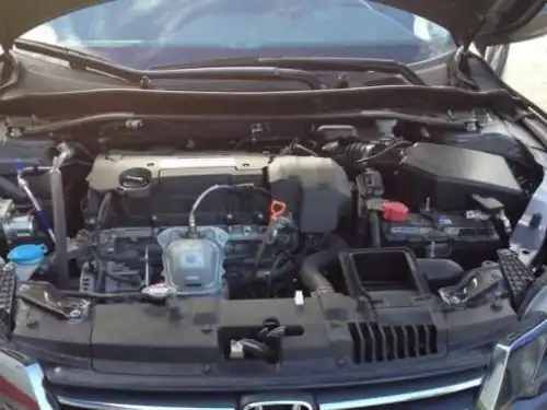 Honda Accord Sport 2013