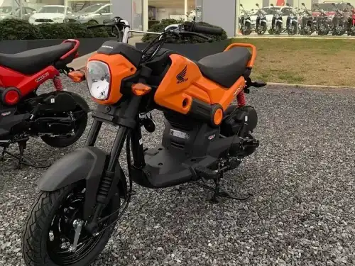 Honda Navi 2022