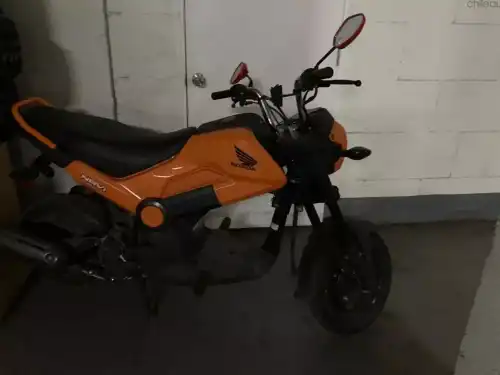 Honda Navi 2022