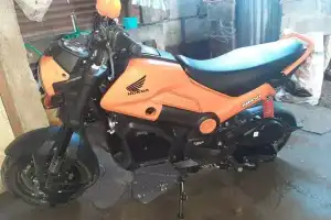 Honda Navi 2022