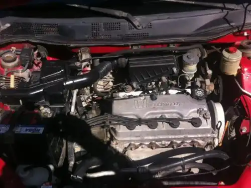 Honda logo 2000 ROJO SANGRE 