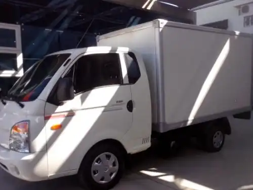 Hyundai H1002007