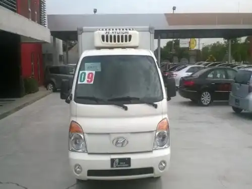 Hyundai H1002009