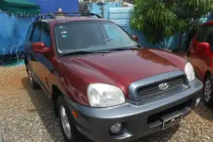 Hyundai Santa Fe2004
