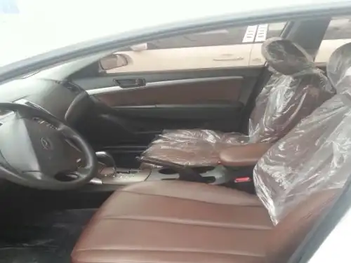 Hyundai Sonata N-20 2010