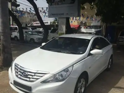 Hyundai Sonata Y-20 2011