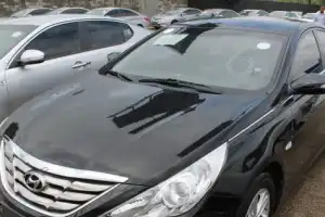 Hyundai Sonata Y20 2010