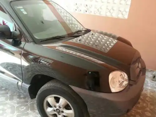 Hyundai santa Fe 2005