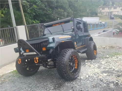 JEEP WRANGLER 93 NUEVO S.V O S.C