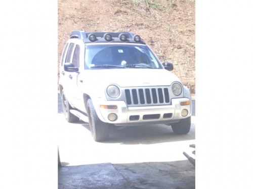 Jeep Liberty Renegade 2003 Gris