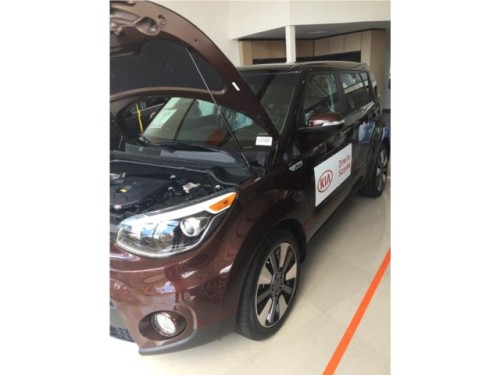 KIA SOUL 2017 TANIA MEDINA 939 251 5383