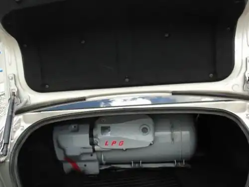 Kia Lotze  2009