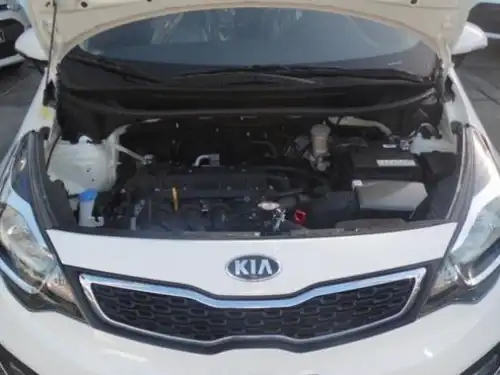 Kia Rio  2015