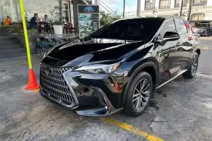 LEXUS NX 250 2023