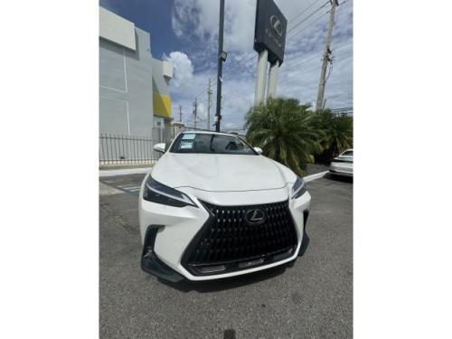 LEXUS NX 250 2025