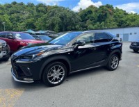 LEXUS NX300 F-SPORT 2019