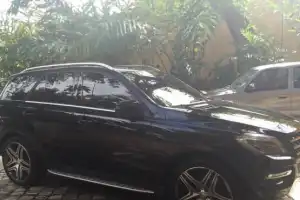 Mercedes-Benz Clase ML 300 2013