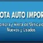 Mota Auto Import