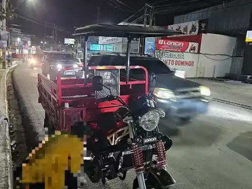 Motocargamoto volteo Loncin LX250ZH-13 MAX 2024