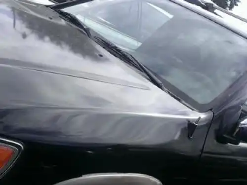 Nissan Terrano  1999