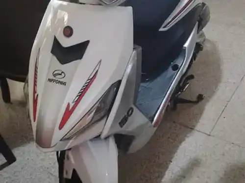 Pasola Niponia 150 2022