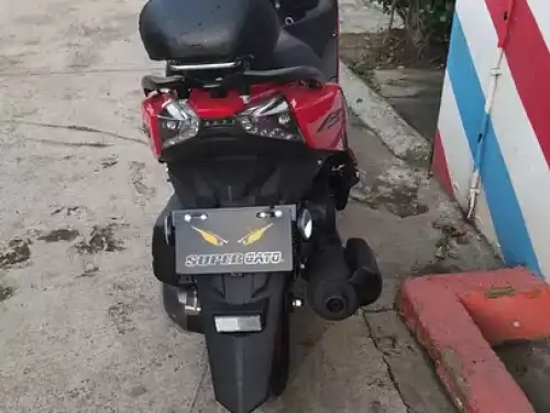 Pasola Super Gato 2022