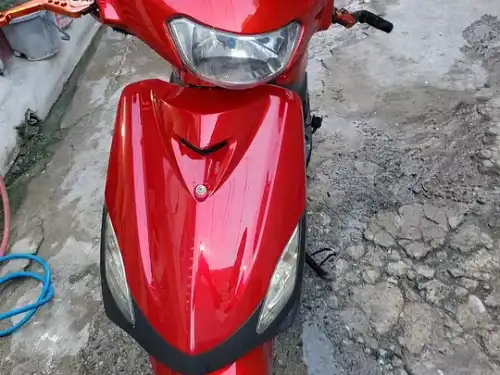 Pasola Super Gato